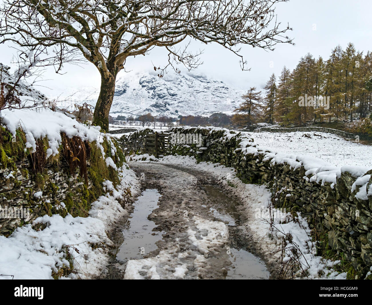 Snowy wet lane with puddles, Little Langdale, English Lake District, Cumbria, England, UK. Stock Photo
