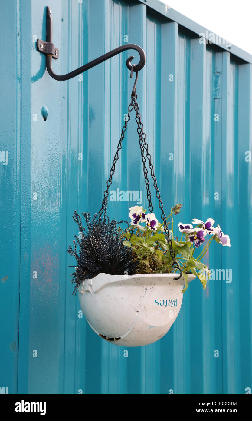 An old builders hard hat converted into a hanging basket to decorate the hoarding around a Wates construction site Stock Photo