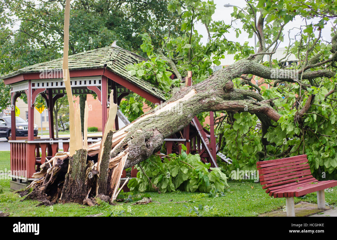 tornado brought a tree down on a gazebo Stock Photo