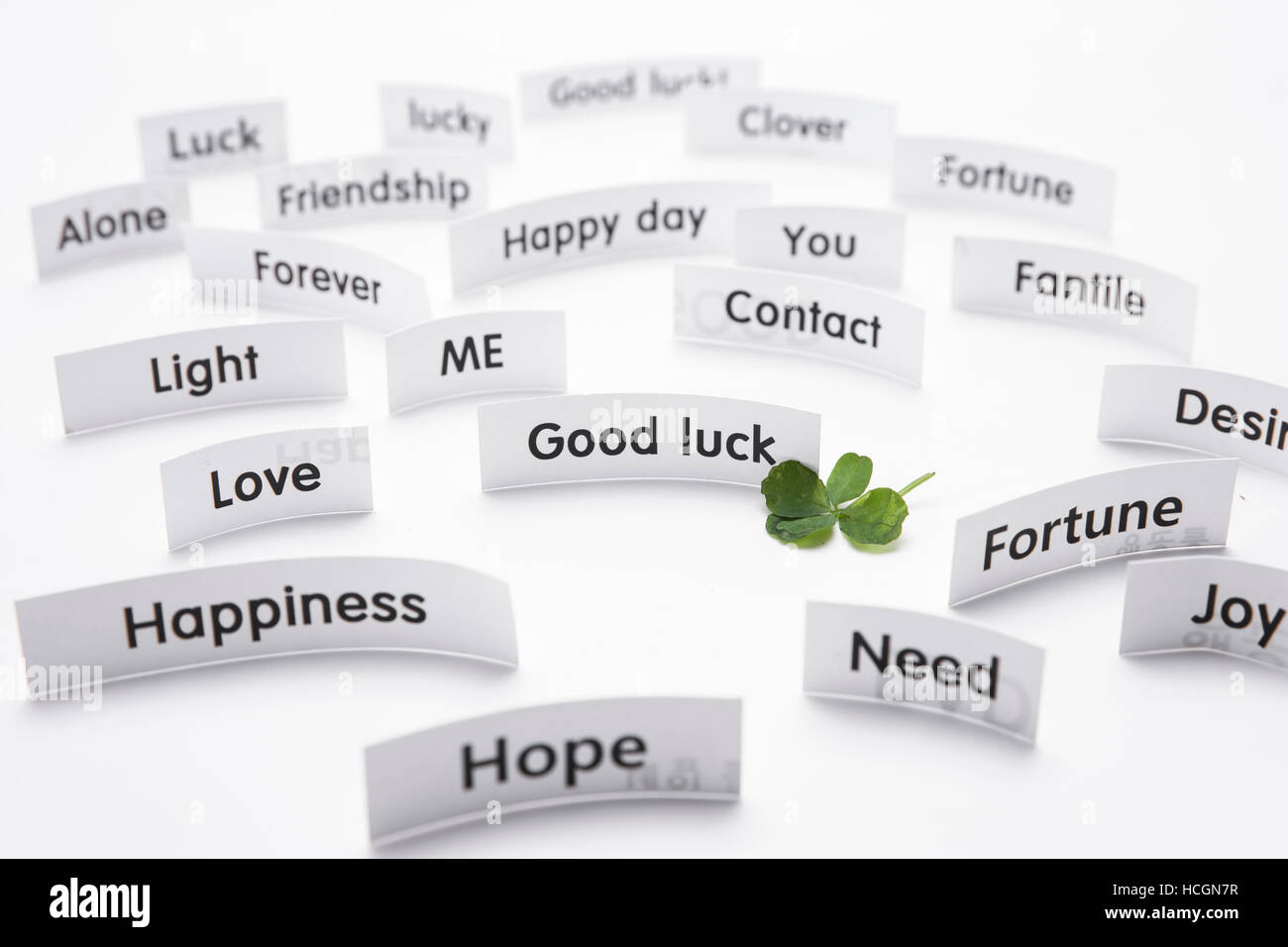 Four Leaf Clover With Various English Words Stock Photo Alamy