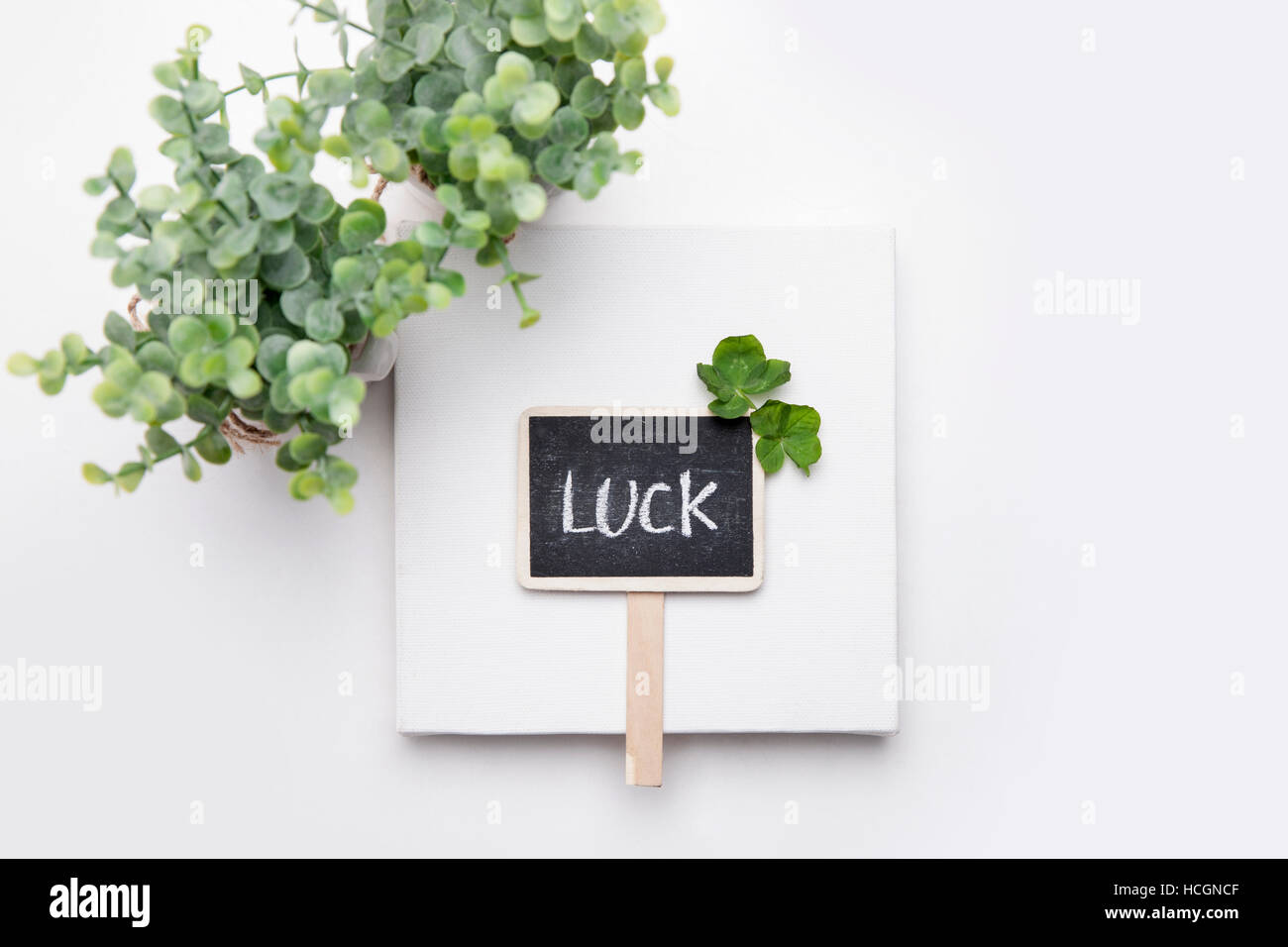 Four-leaf clovers and message of luck on a sign Stock Photo