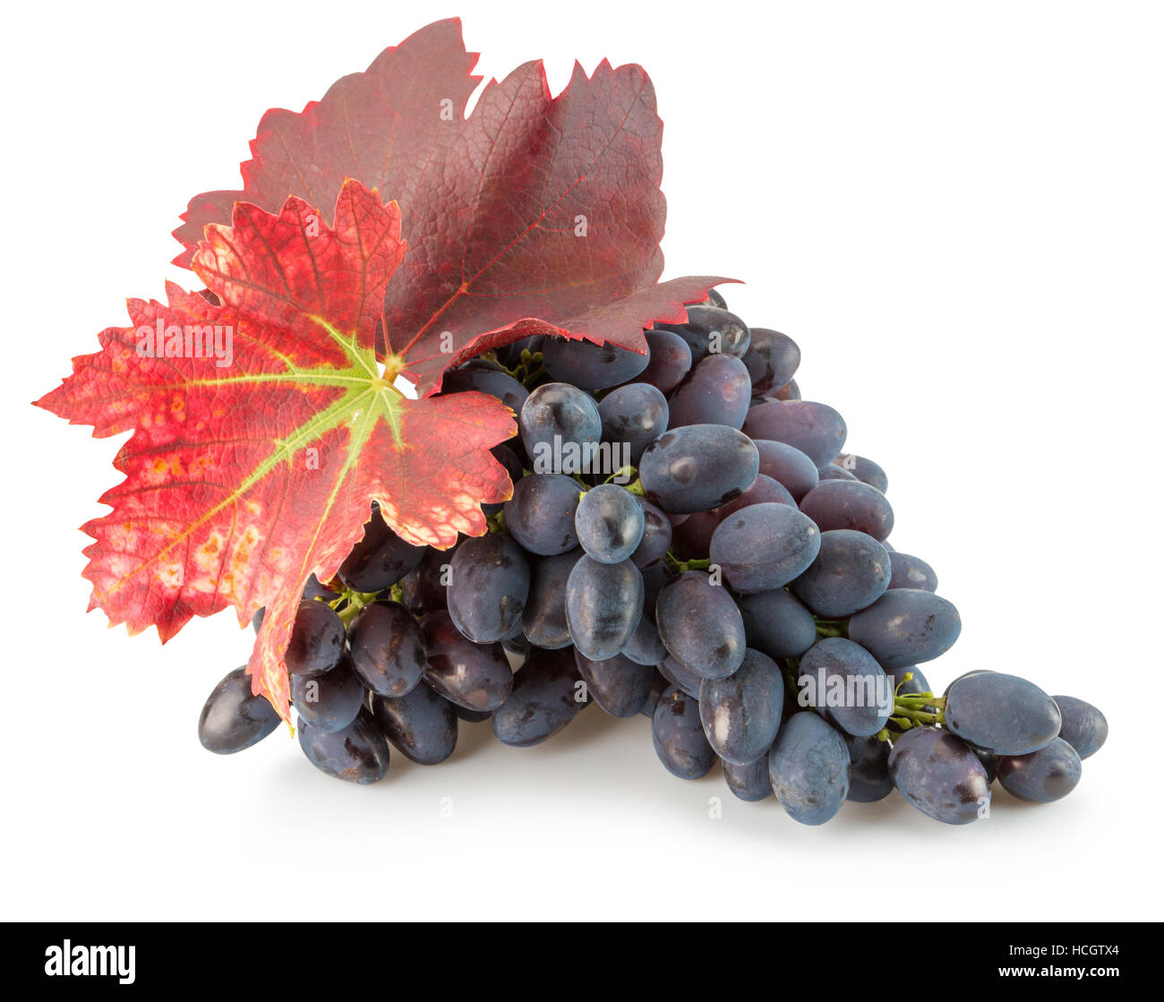 purple grapes isolated on the white background. Stock Photo