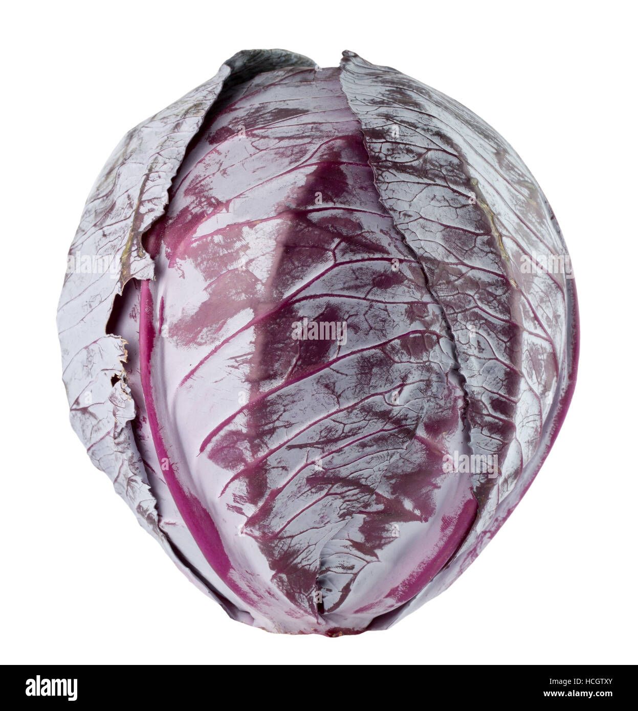 purple cabbage isolated on the white background. Stock Photo