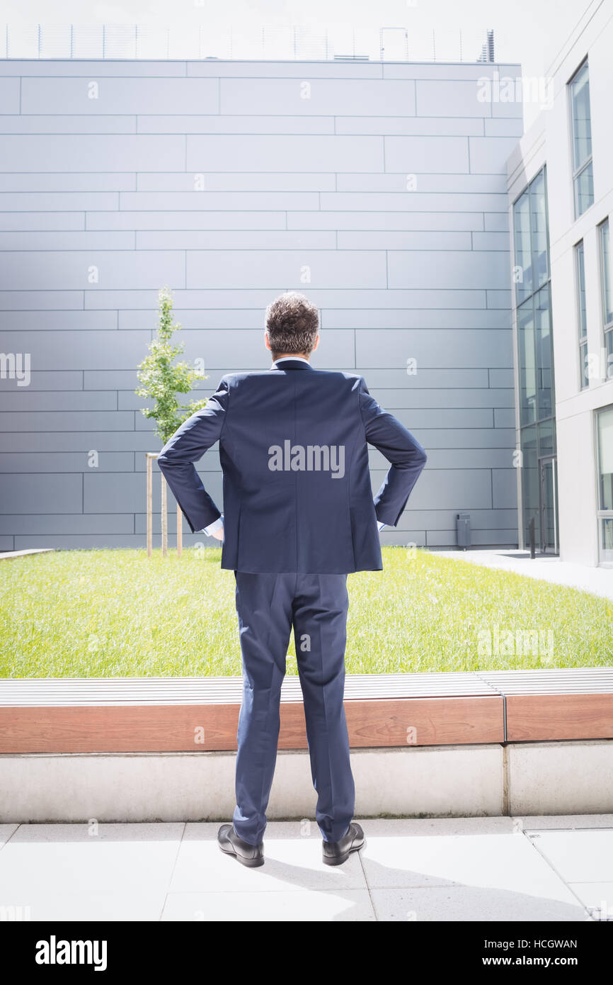 Rear view of a businessman standing outside office building Stock Photo ...