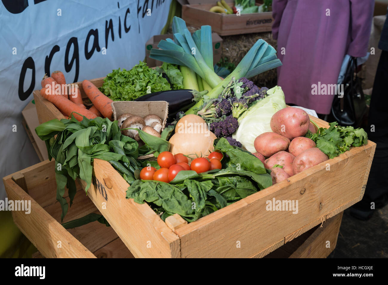 Organic vegetables on show at Chester Food Festival Stock Photo