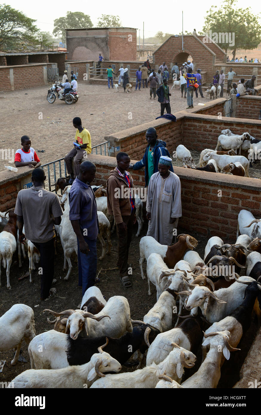 BURKINA FASO , Fada N’Gourma, sunday cattle market / Tiermarkt am Sonntag Stock Photo