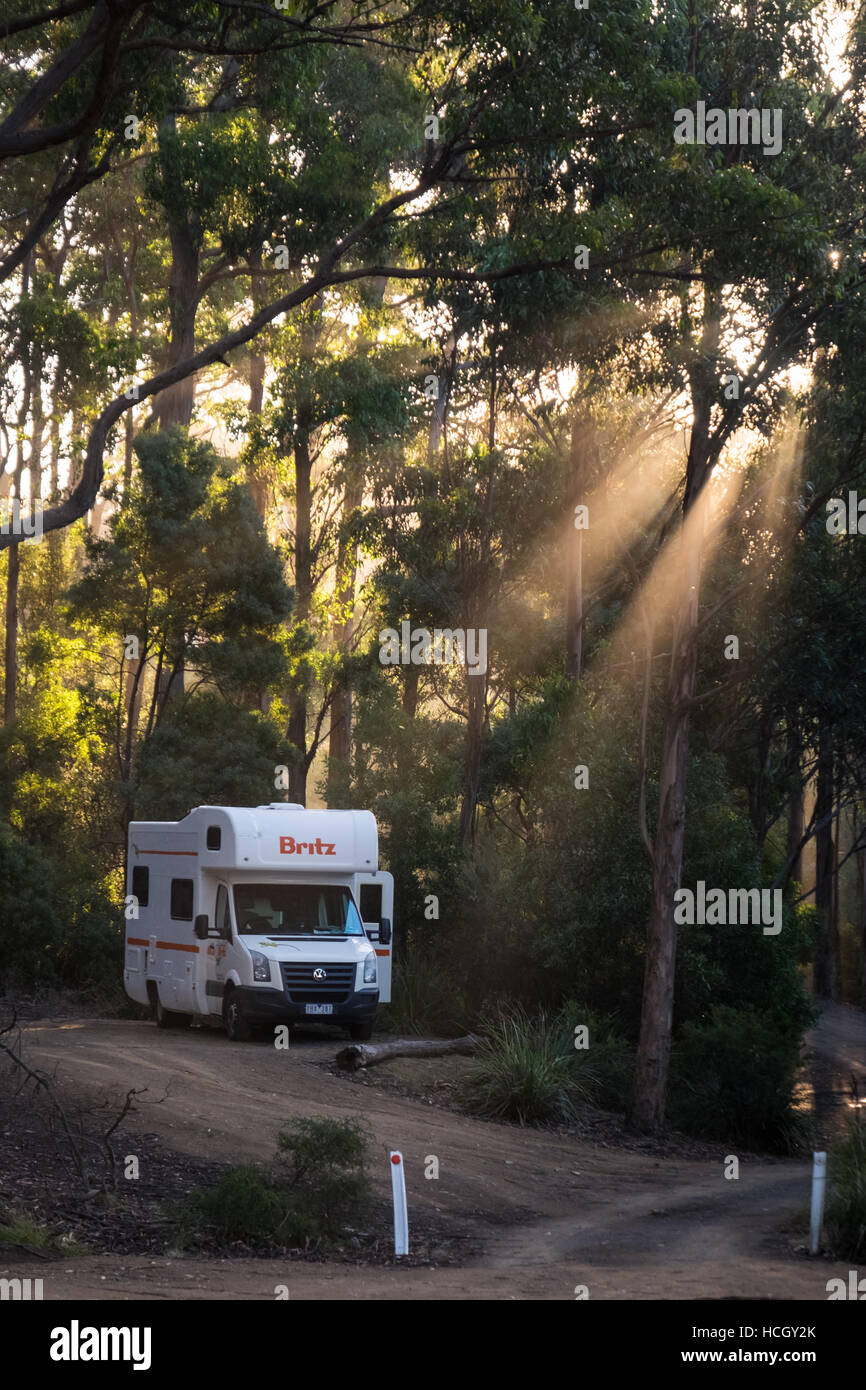 A Britz VW campervan in Fortescue Bay Camping Ground, Tasman National Park. Stock Photo
