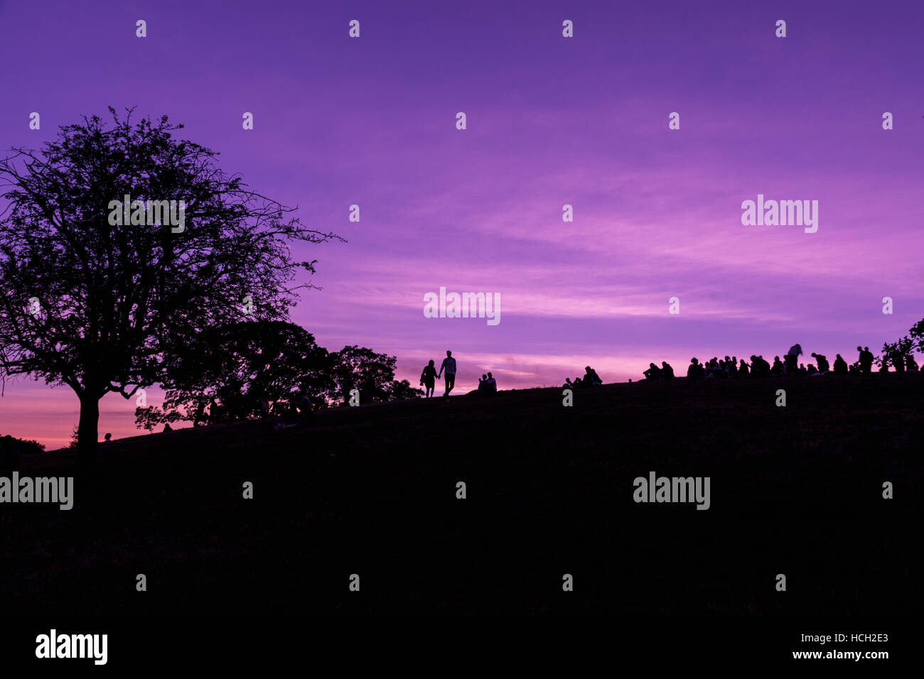 Purple sky hi-res stock photography and images - Alamy