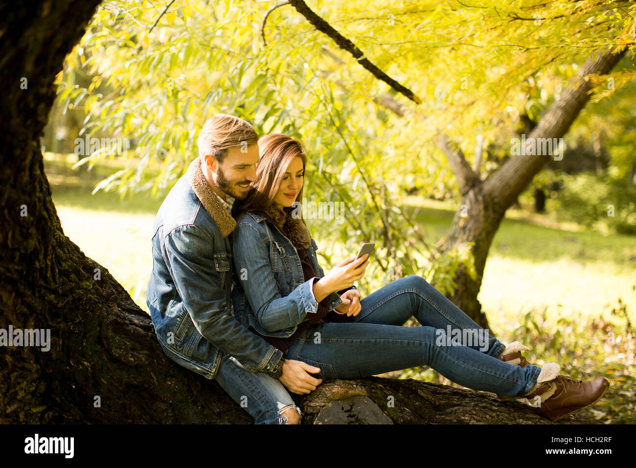 Couple in love sitting on a tree in autumn park Stock Photo