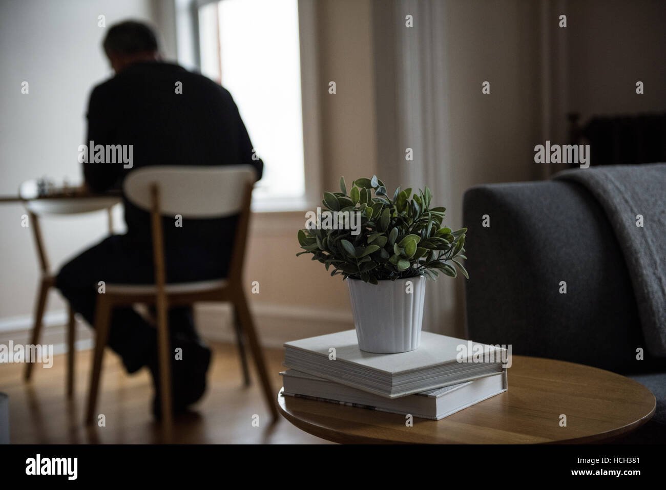 Books and potted plant on stool Stock Photo