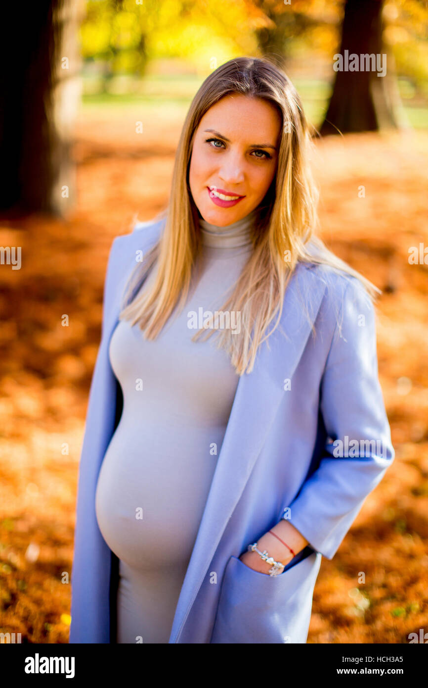 Pregnant woman posing in the autumn park Stock Photo