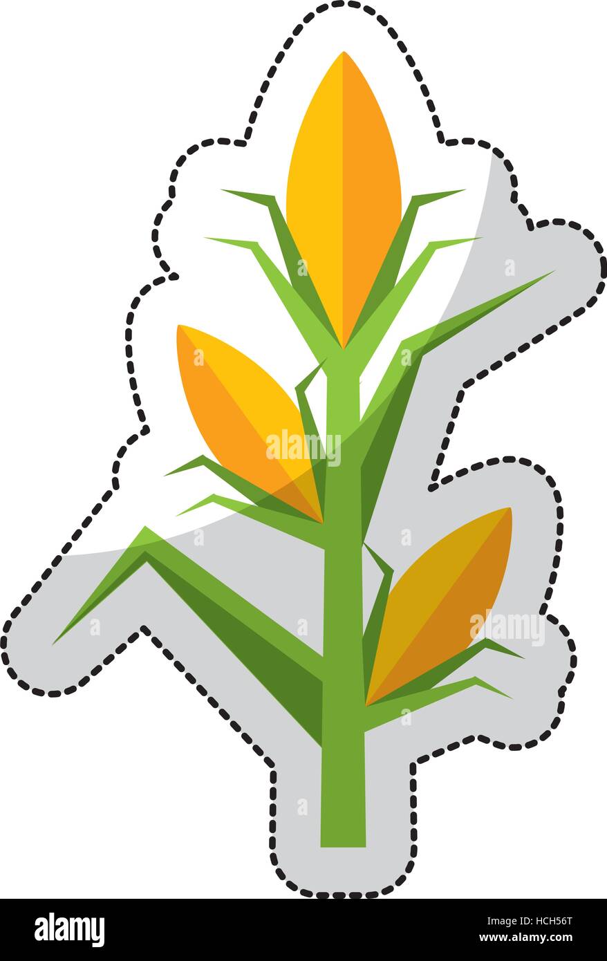 corn plant isolated icon vector illustration design Stock Vector Image ...