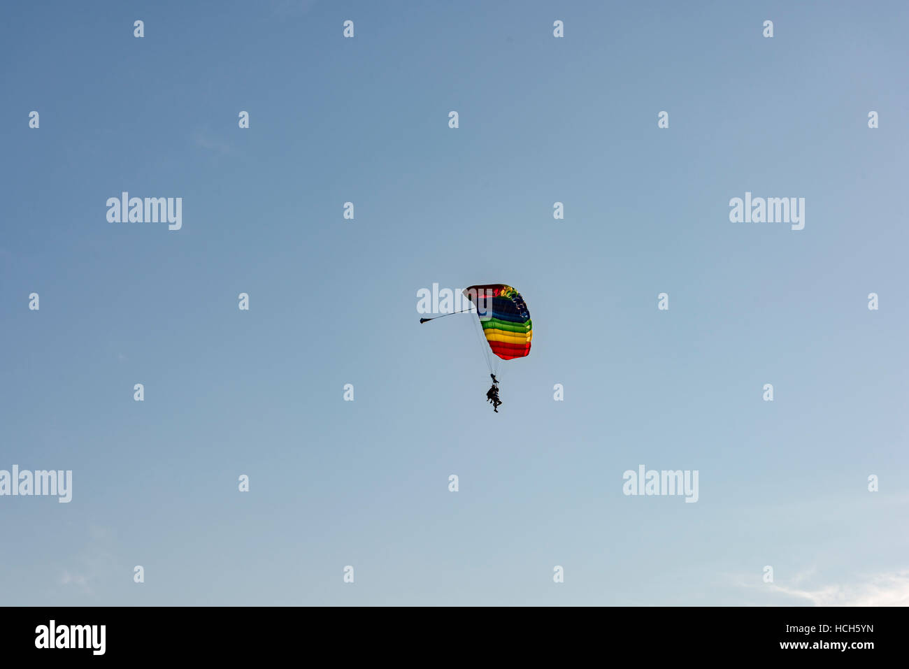 Skydivers in tandem against blue sky and copy space, extreme sport, skydiving, colourful parachute Stock Photo