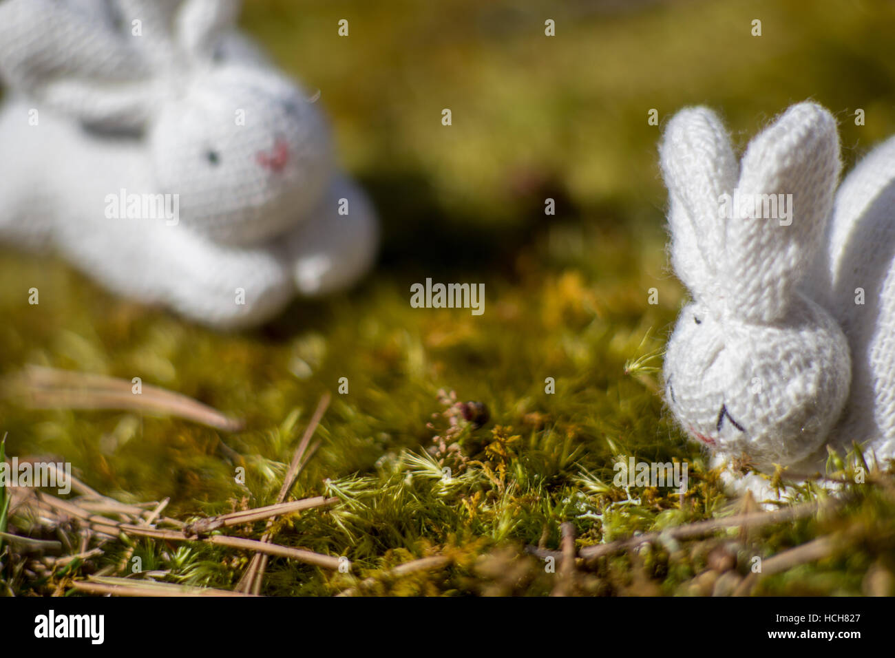 Two white rabbit stuffed toys on a mossy ground Stock Photo