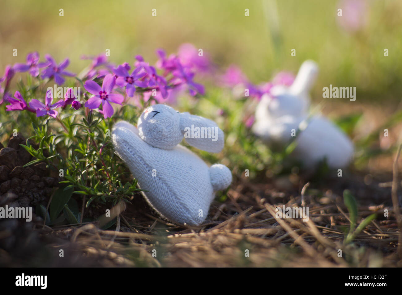 Two stuffed white rabbit toys posed to feed on clusters of purple flowers, one rabbit is de-focused Stock Photo