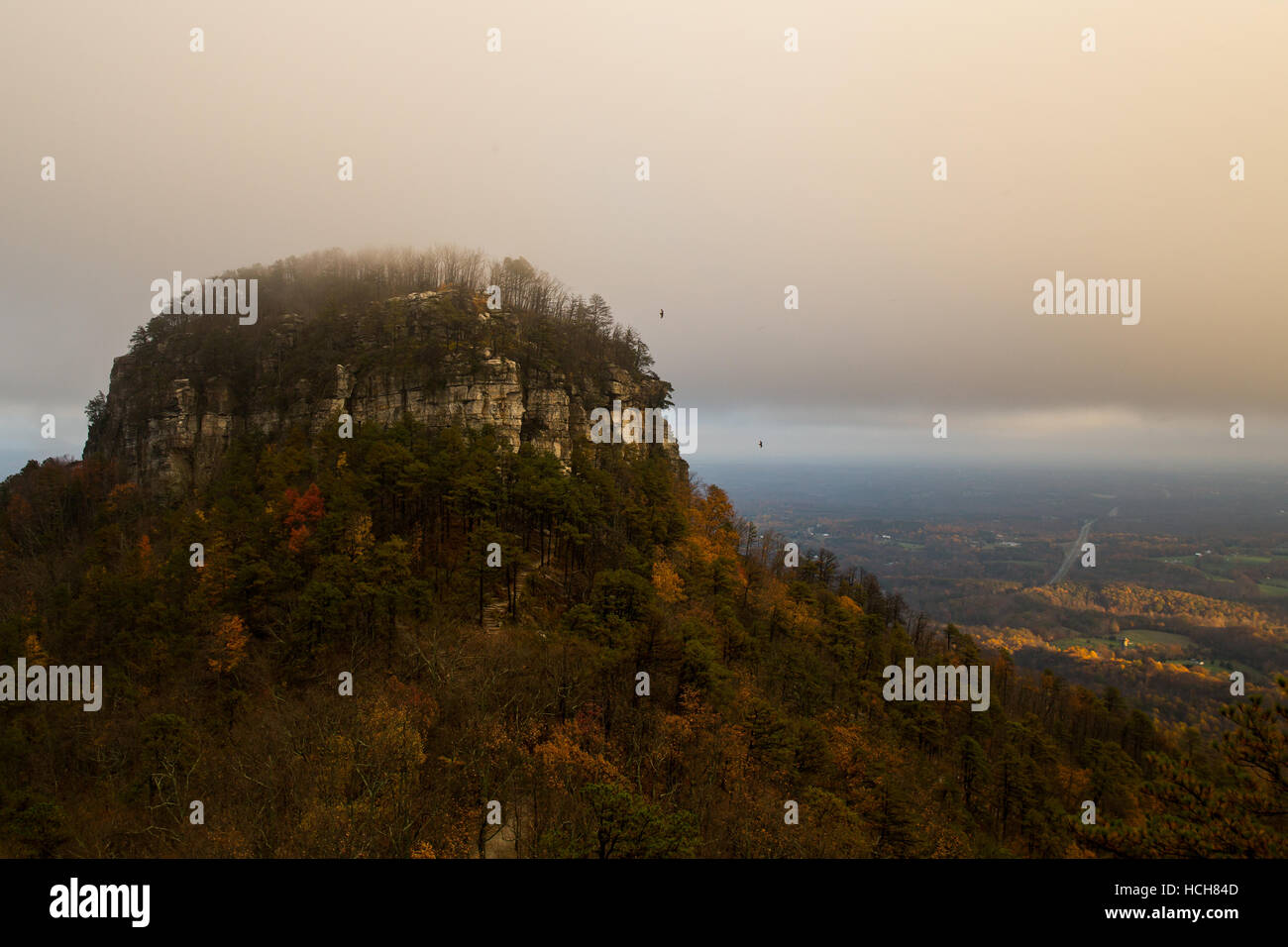 Big pinnacle of Pilot Knob in North Carolina, USA, showing autumn colored leaves and a low cloud cover with circling birds Stock Photo