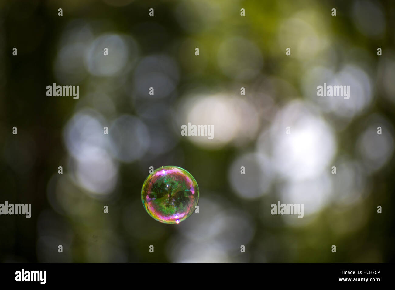 Bubble highlights hi-res stock photography and images - Alamy