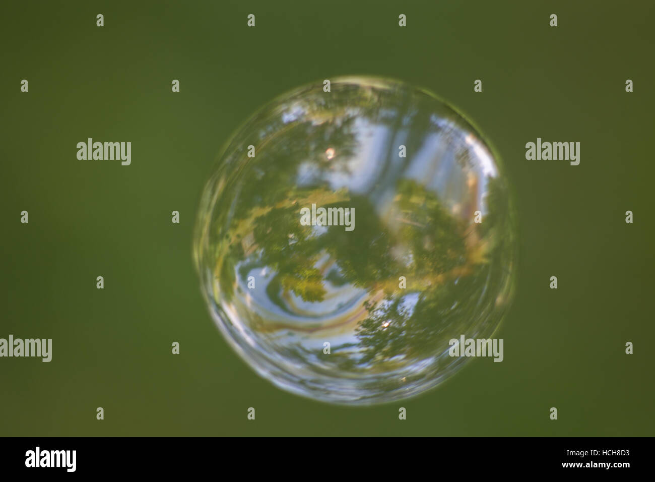 Close up of a soap bubble with green background and the reflections of trees, grass, and sky Stock Photo