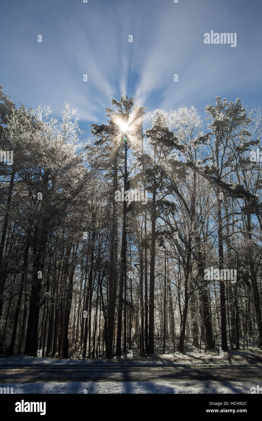 Ice and sun hi-res stock photography and images - Alamy