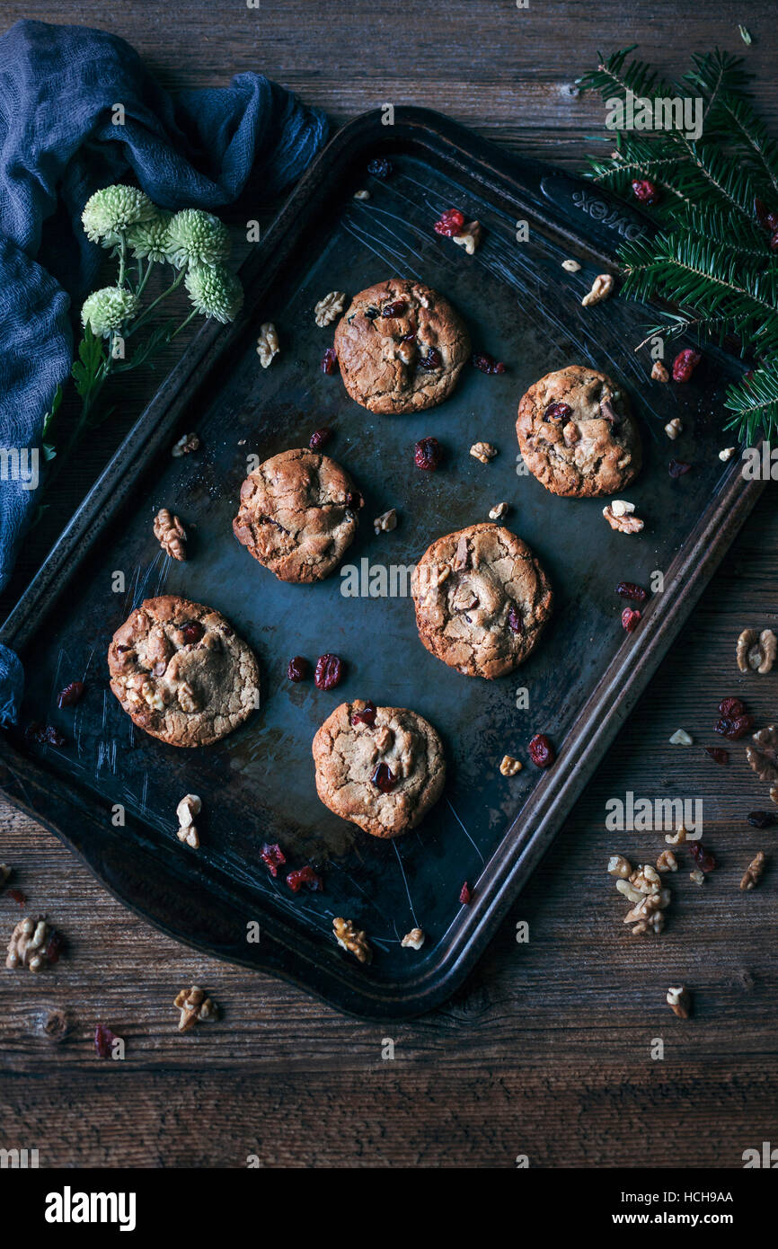 Freshly baked cranberries and walnuts chestnut chocolate cookies on a baking tray Stock Photo