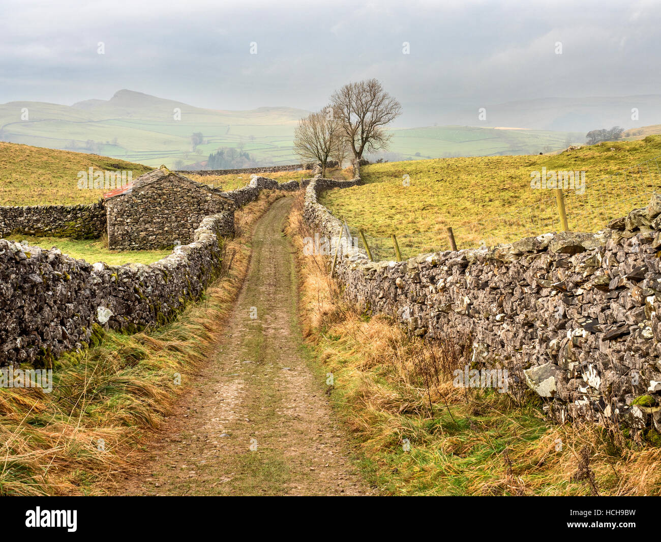 Old Barn On Goat Scar Lane Above Stainforth In Ribblesdale Yorkshire 