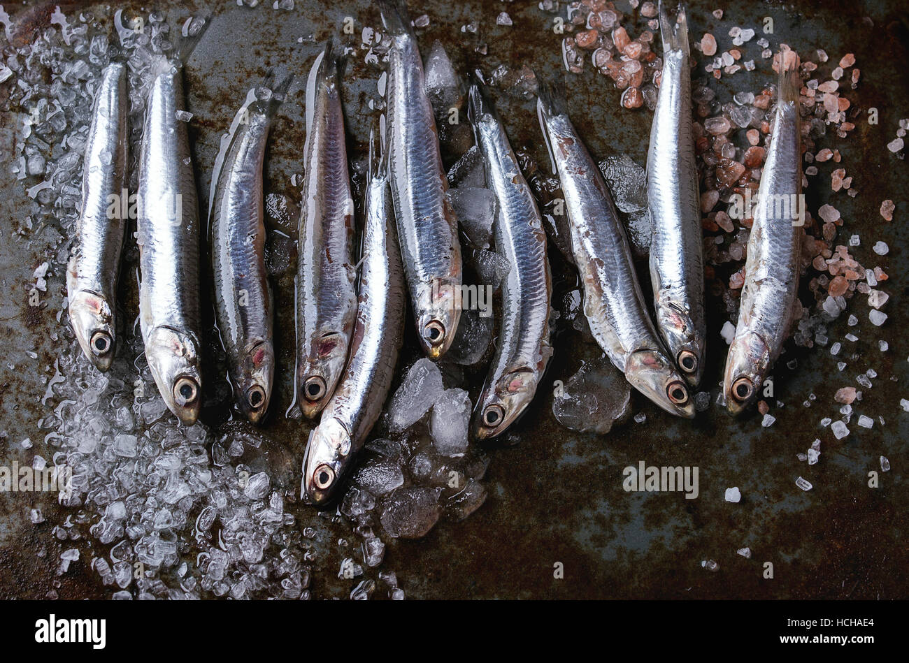 Lot of raw fresh anchovies fishes on crushed ice with pink and sea salt over old dark metal background. Top view. Sea food background theme with space Stock Photo