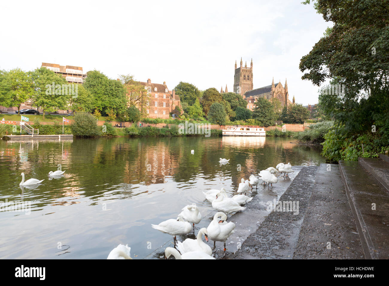 Worcester Cathedral and the river Severn. Stock Photo