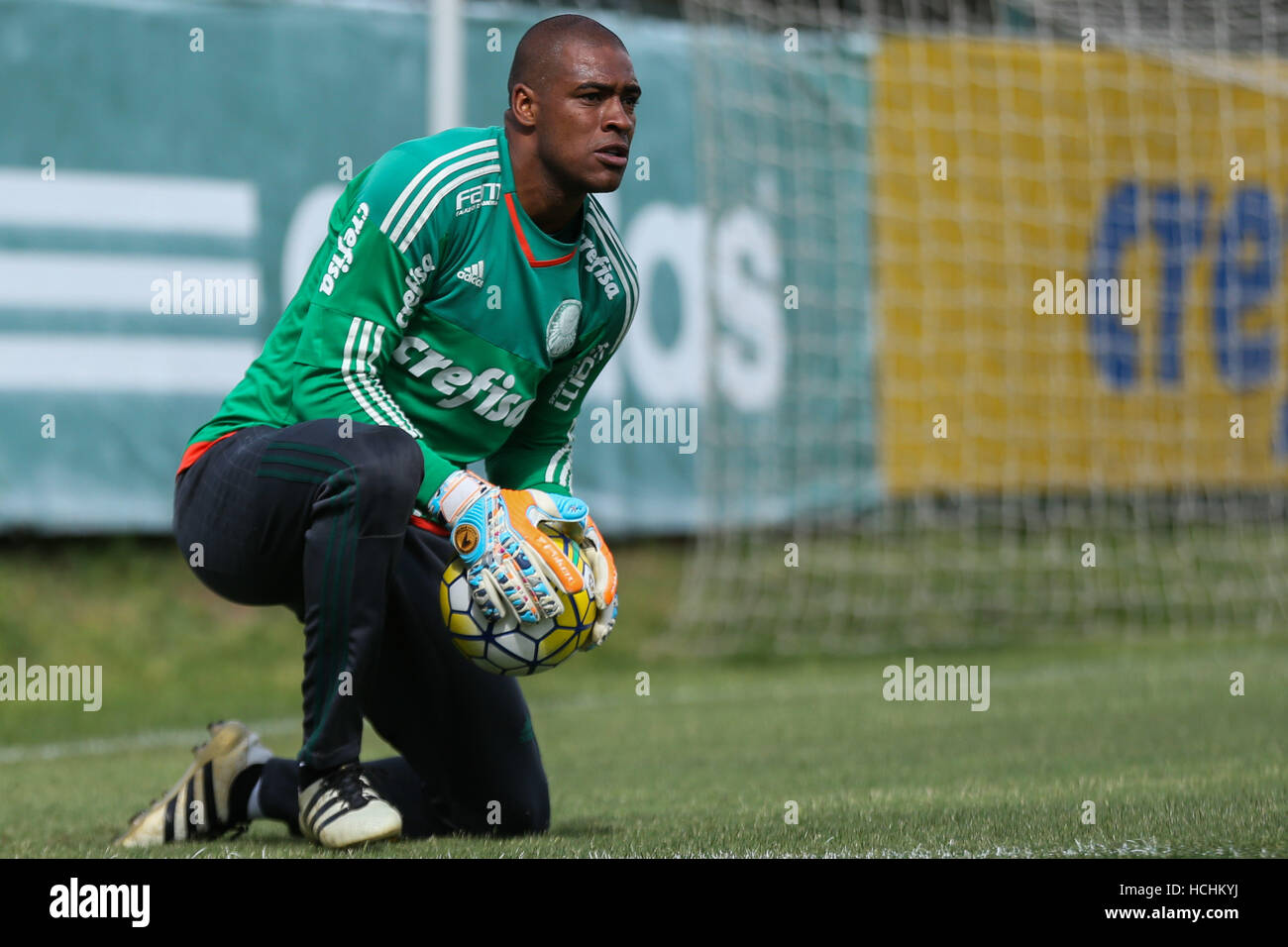 SÃO PAULO, SP - 08.12.2016: TREINO DO PALMEIRAS - Pictured goalkeeper ...