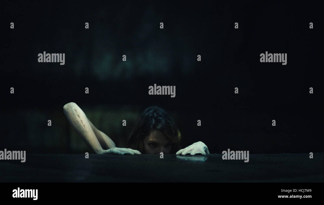 Zorana kostić obradović