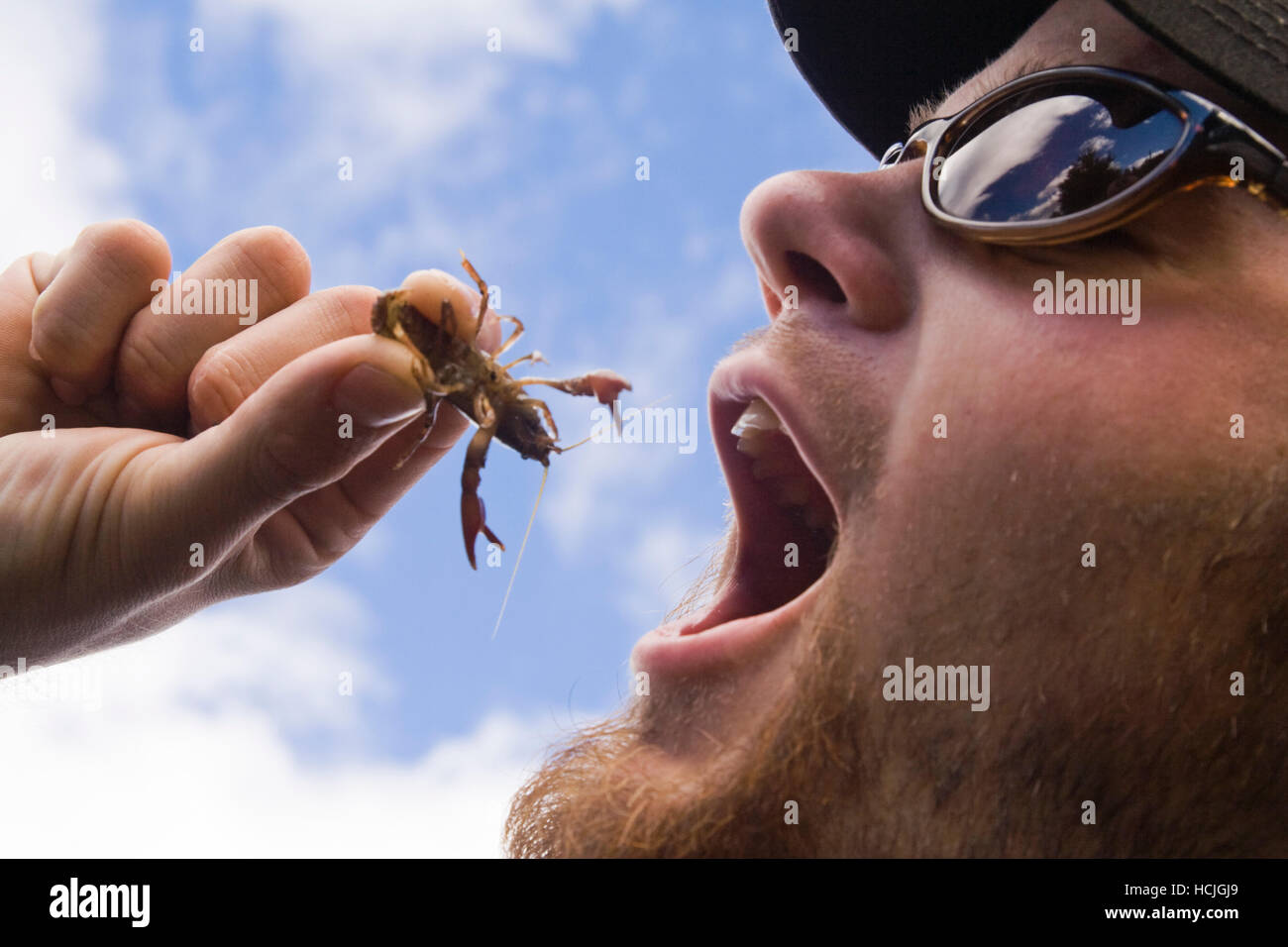 Ryan Klett jokes about eating a small crawfish he found in the Cle Elum River near Cle Elum, Washington. Stock Photo