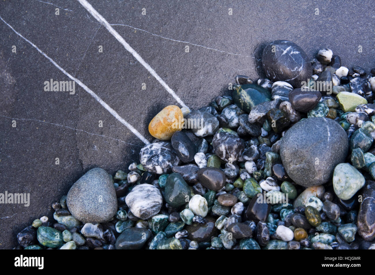 Colorful stones with quartz lines on the beach at Shi Shi Beach, Olympic National Park, Washington. Stock Photo