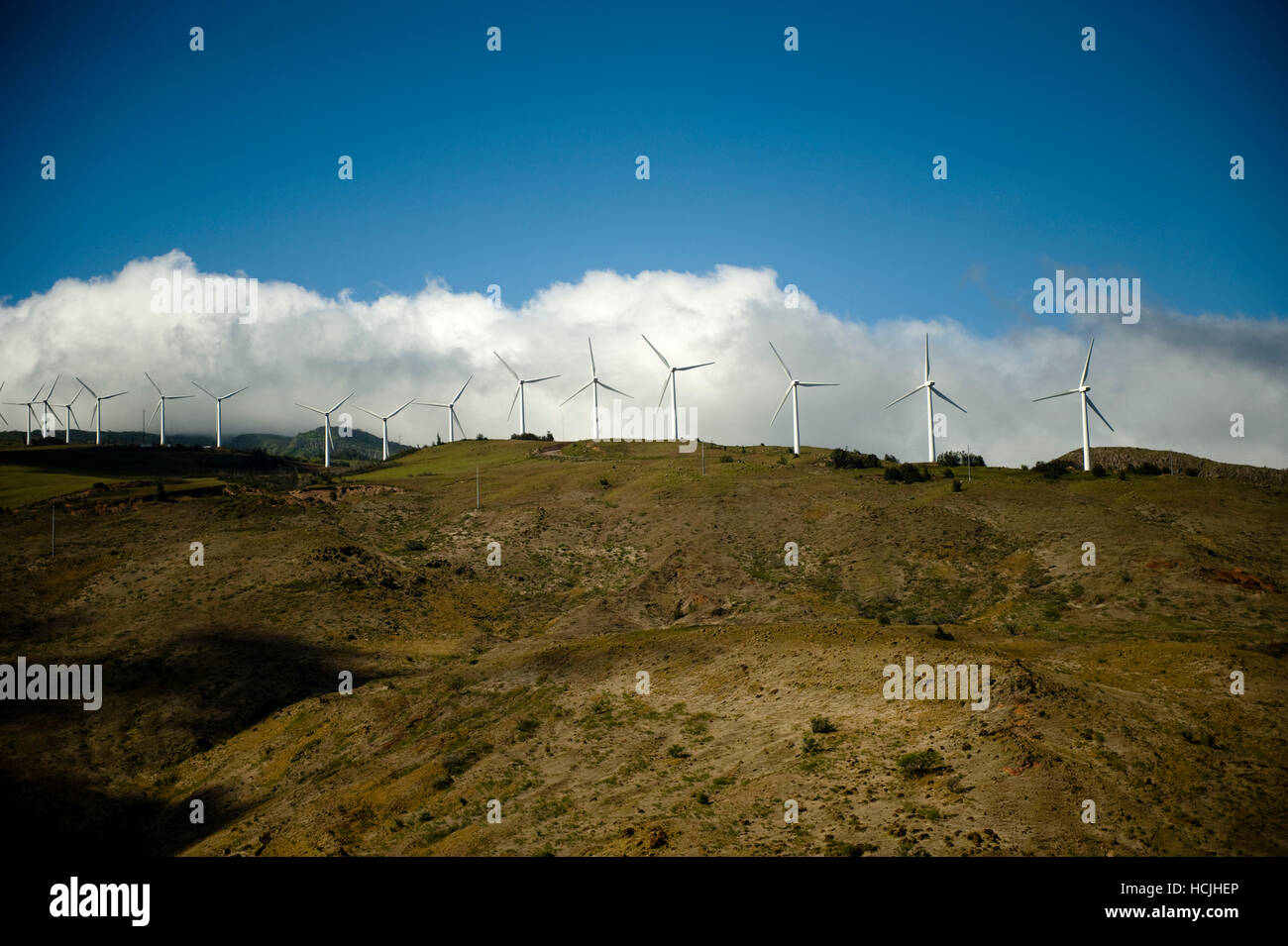 Wind turbines line the mountainsides of Maui, Hawaii Stock Photo Alamy