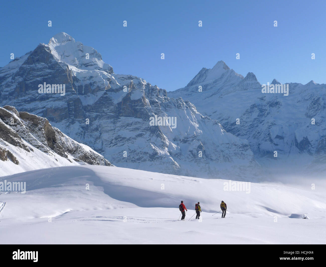 Skiers Thomas Greenall, Peer Bueller and Eelco van Nieuwenhuijzen are sliding down a snowy slope in the Swiss mountains of the Bernese Oberlands after a day of off piste skiing in Grindelwald. In the background the Scheidegg Wetterhorn (left) and the Schr Stock Photo