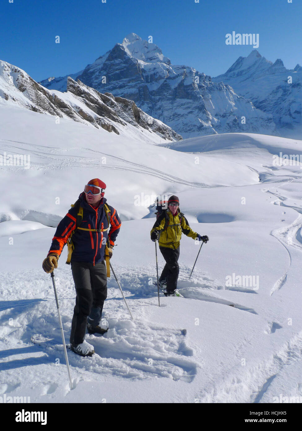 Skiers Thomas Greenall and Peer Bueller are waiting for their friends to ski down a steep slope in powder snow. In the background the mountains of the Swiss Bernese Oberland Stock Photo