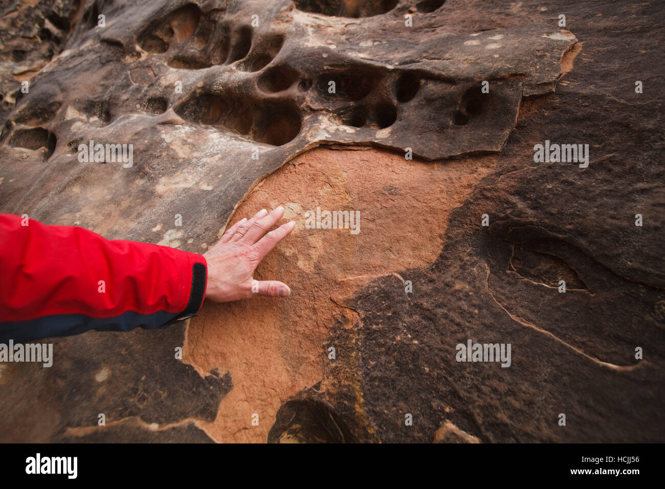 university of Colorado geomorphology professor Robert Anderson points out heat weathered rock on a sandstone wall of Little Wild Horse Canyon, San Rafael Swell, Utah. Darker surfaces are more susceptible since they absorb more heat from the sun. Stock Photo