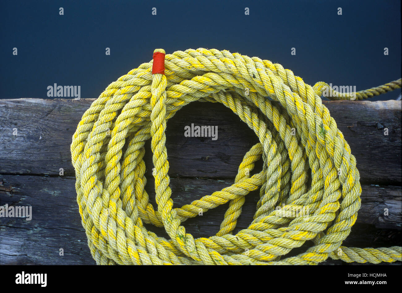 A yellow rope is coiled an organized on the dock in the Maine coastal ...