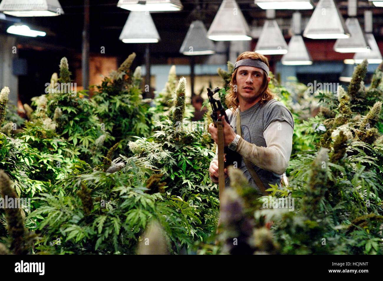 PINEAPPLE EXPRESS, James Franco, 2008. ©Columbia Pictures/Courtesy