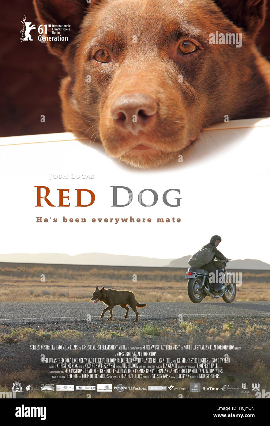 Red Dog International Poster Art 2011 Roadshow Film Distributorscourtesy HCJYGN 