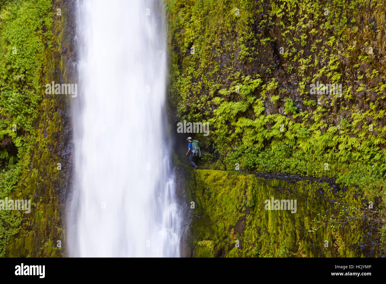 Hiker Zach Podell-Eberhardt walks past Tunnel Falls on the Eagle Creek Trail, cut into the basalt cliff behind the waterfall, in Columbia River Gorge National Scenic Area, Oregon. Stock Photo
