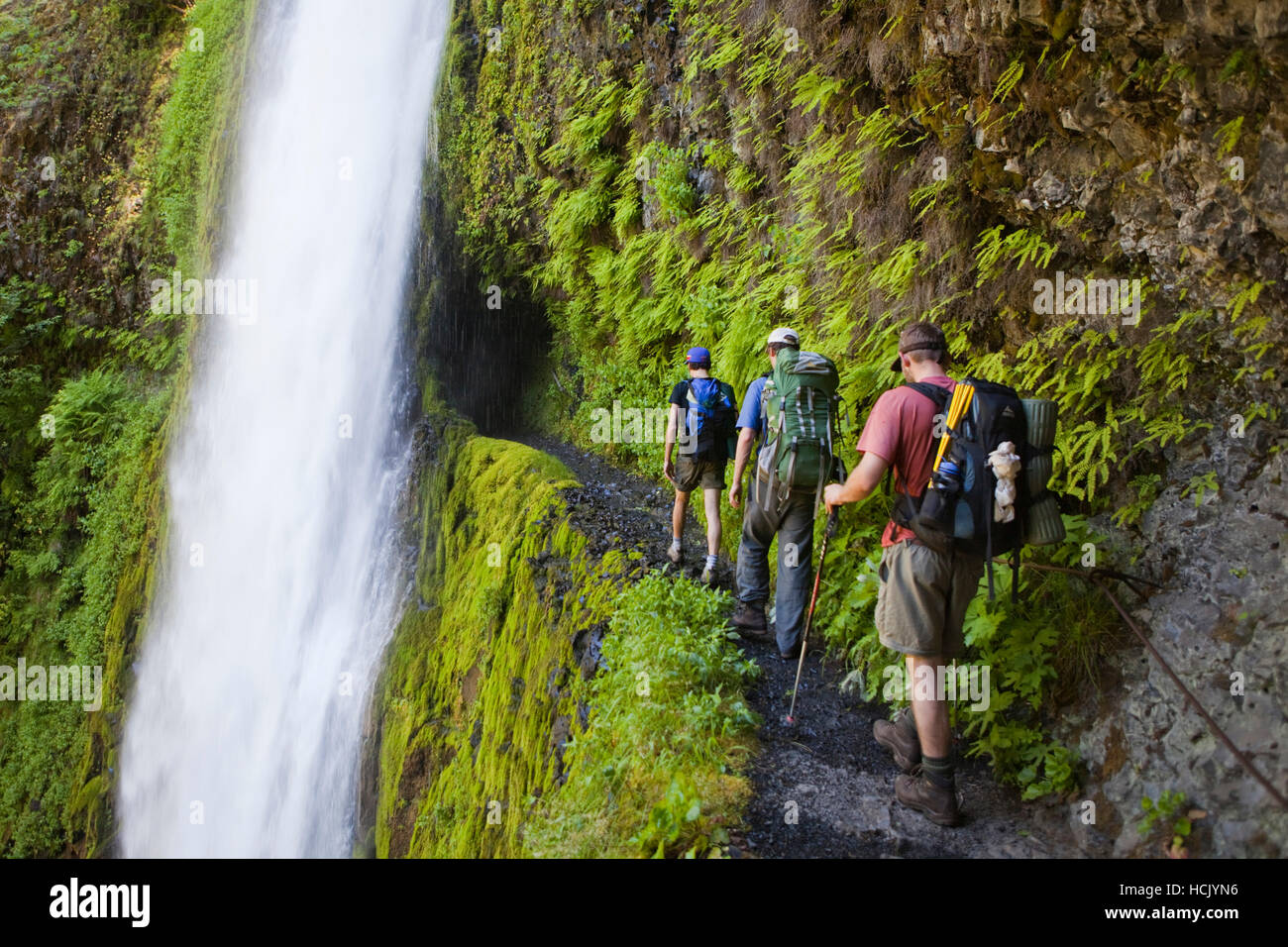 Hikers approach Tunnel Falls on the Eagle Creek Trail, cut into the basalt  cliff behind the waterfall, in Columbia River Gorge National Scenic Area,  Oregon Stock Photo - Alamy
