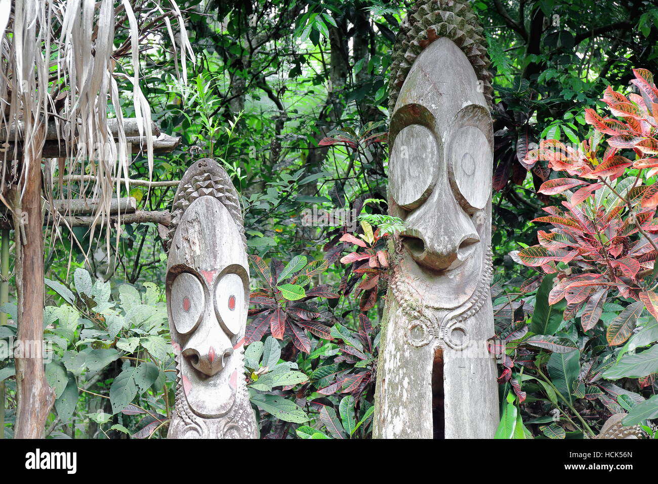 Wooden tam tams or split gongs sculpted out of tree trunks representative of the local men.s mage society and proportional in number to their status. Stock Photo