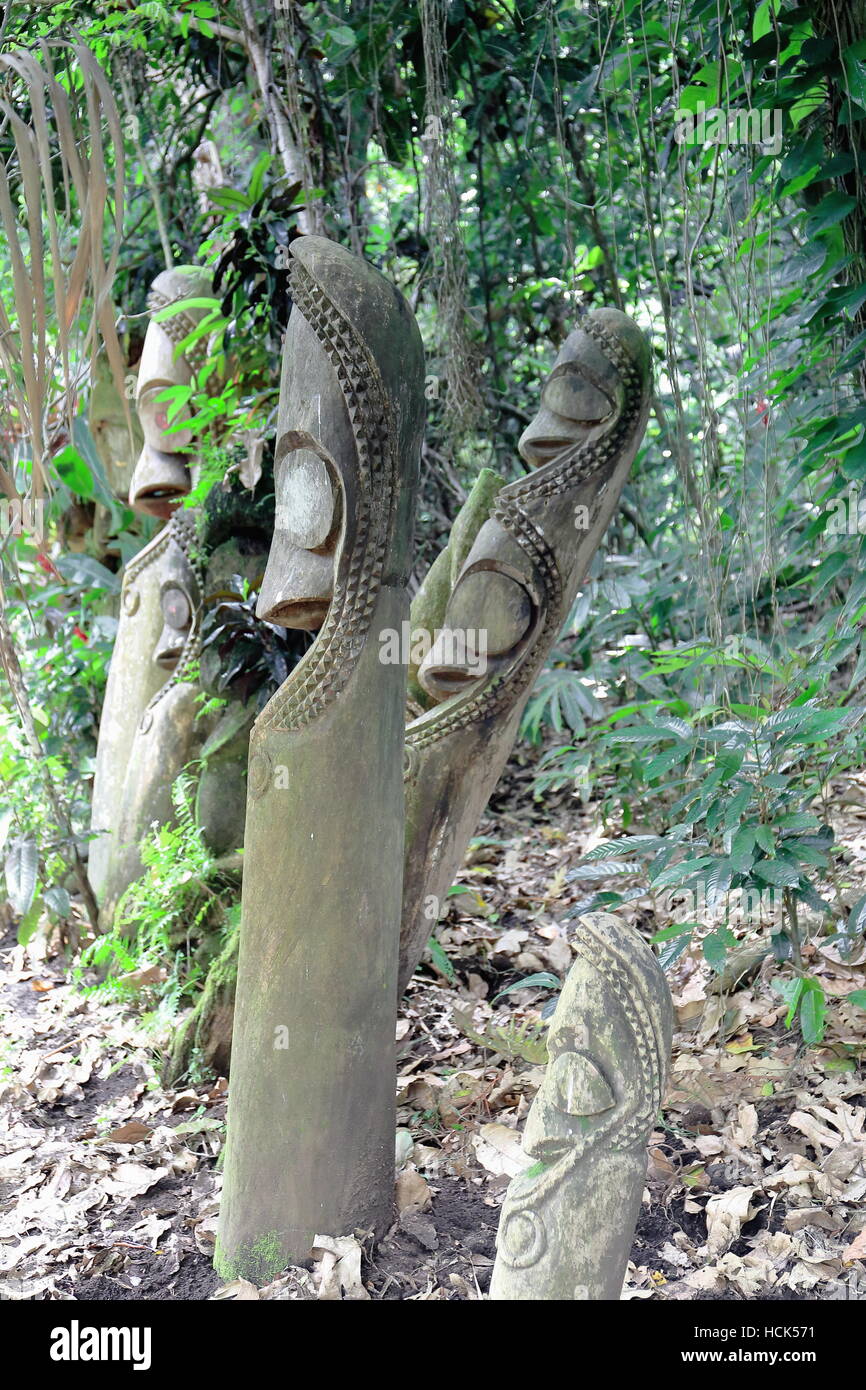 Wooden tam tams or split gongs sculpted out of tree trunks representative of the local men.s mage society and proportional in number to their status. Stock Photo