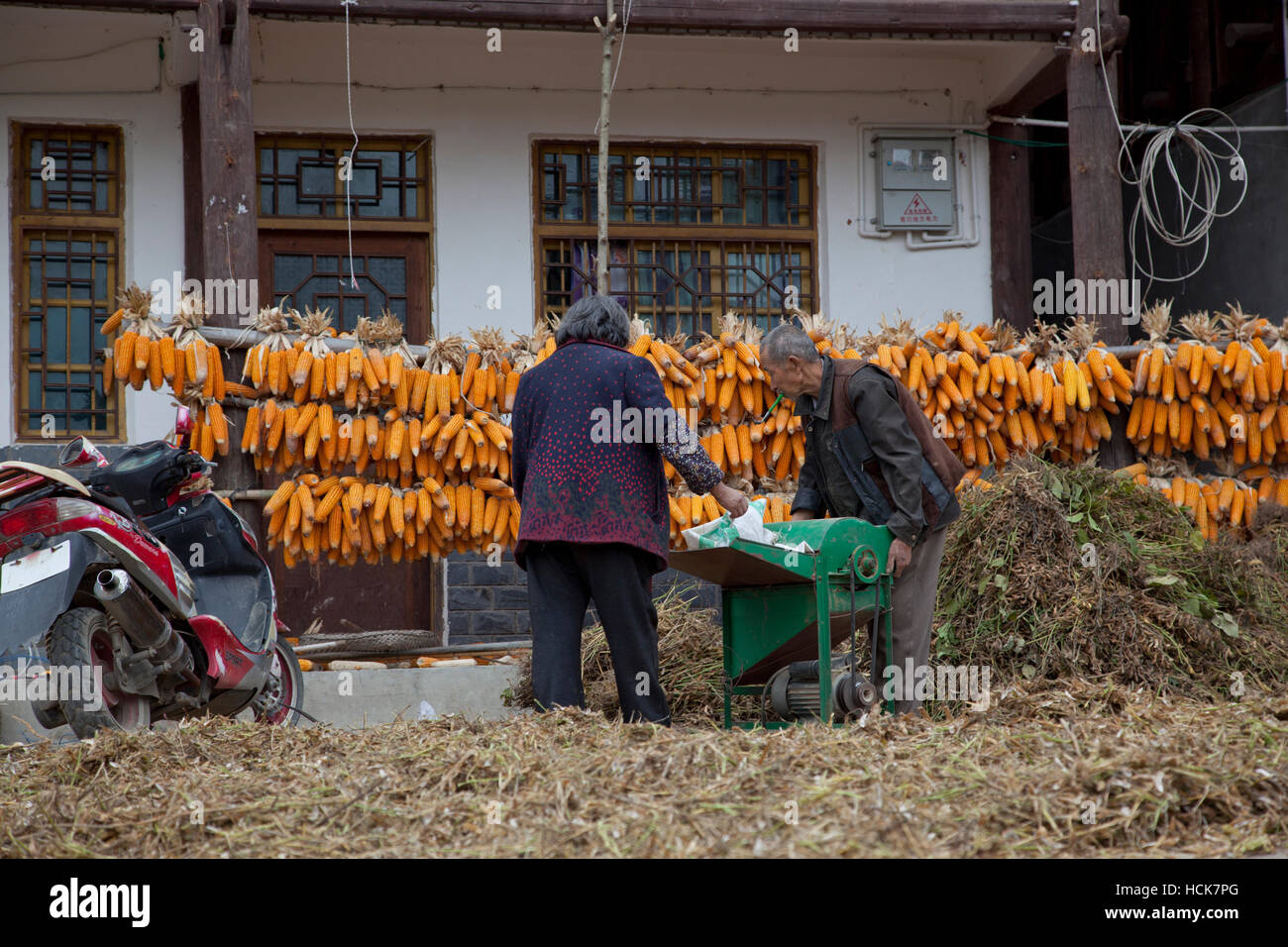 Soya beans hi-res stock photography and images - Alamy