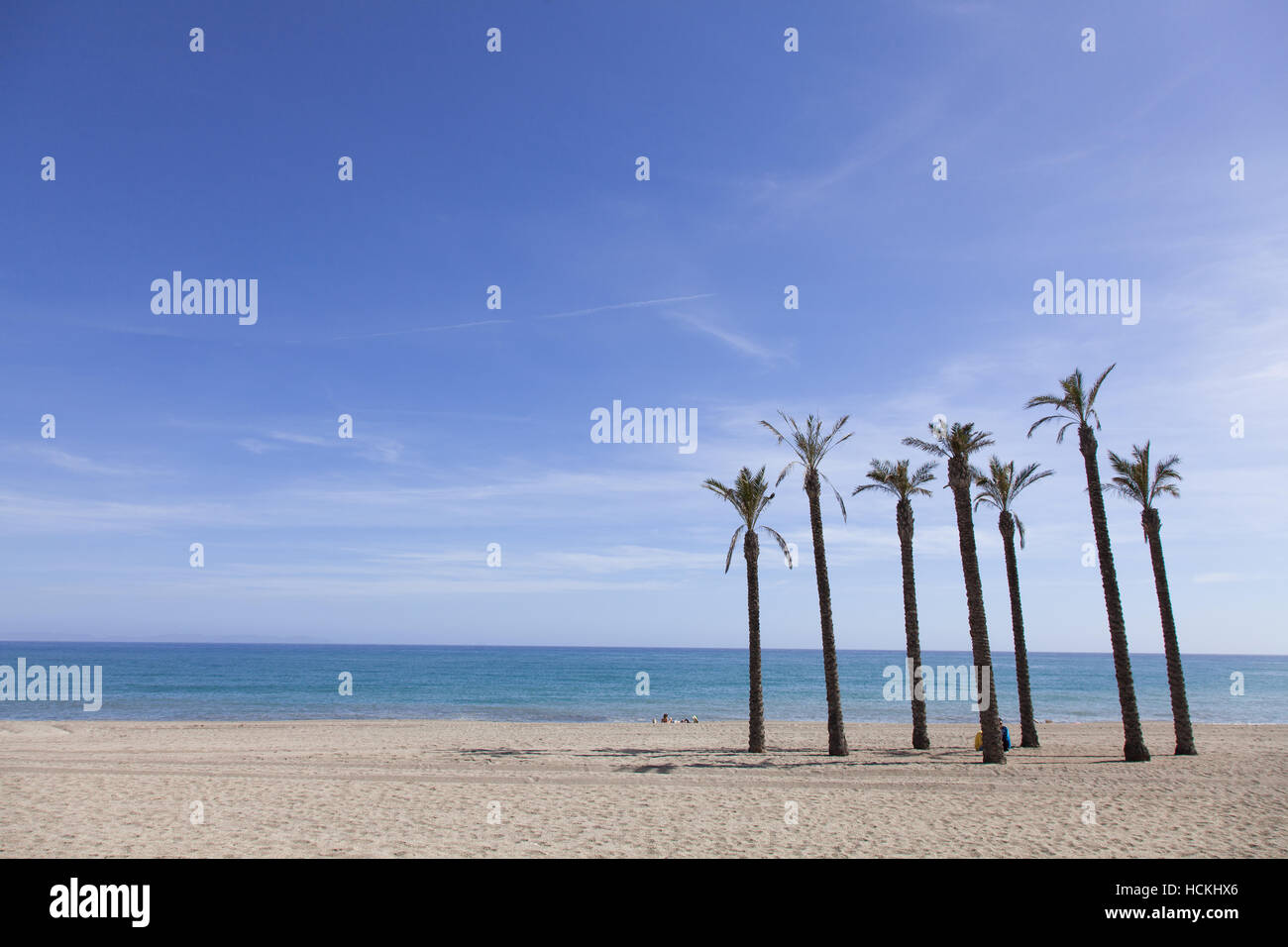 beach with palm trees and a blue sky Stock Photo