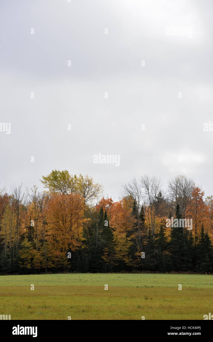 Rural landscape in northern Wisconsin between Park Falls and Winter ...