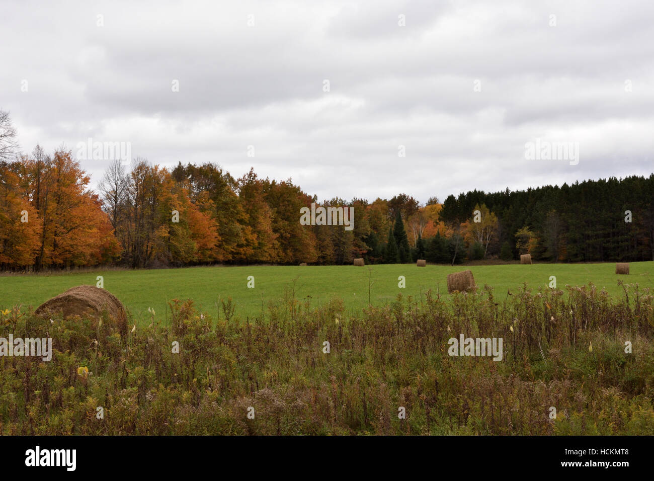 Ojibwa wisconsin hires stock photography and images Alamy