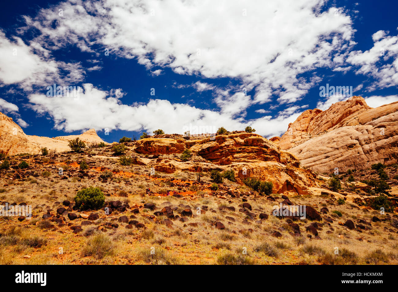 The trail to Hickman Bridge is Capitol Reef National Parks most popular hike and features fantastic views of the Waterpocket Fold and the majestic nat Stock Photo