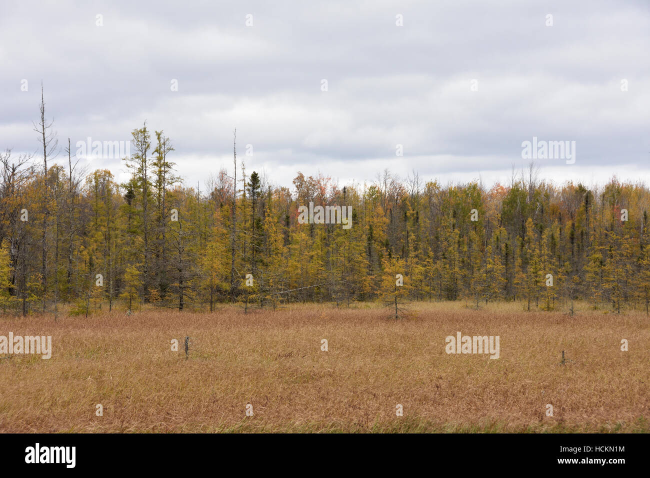 Rural landscape in northern Wisconsin between Park Falls and Winter ...
