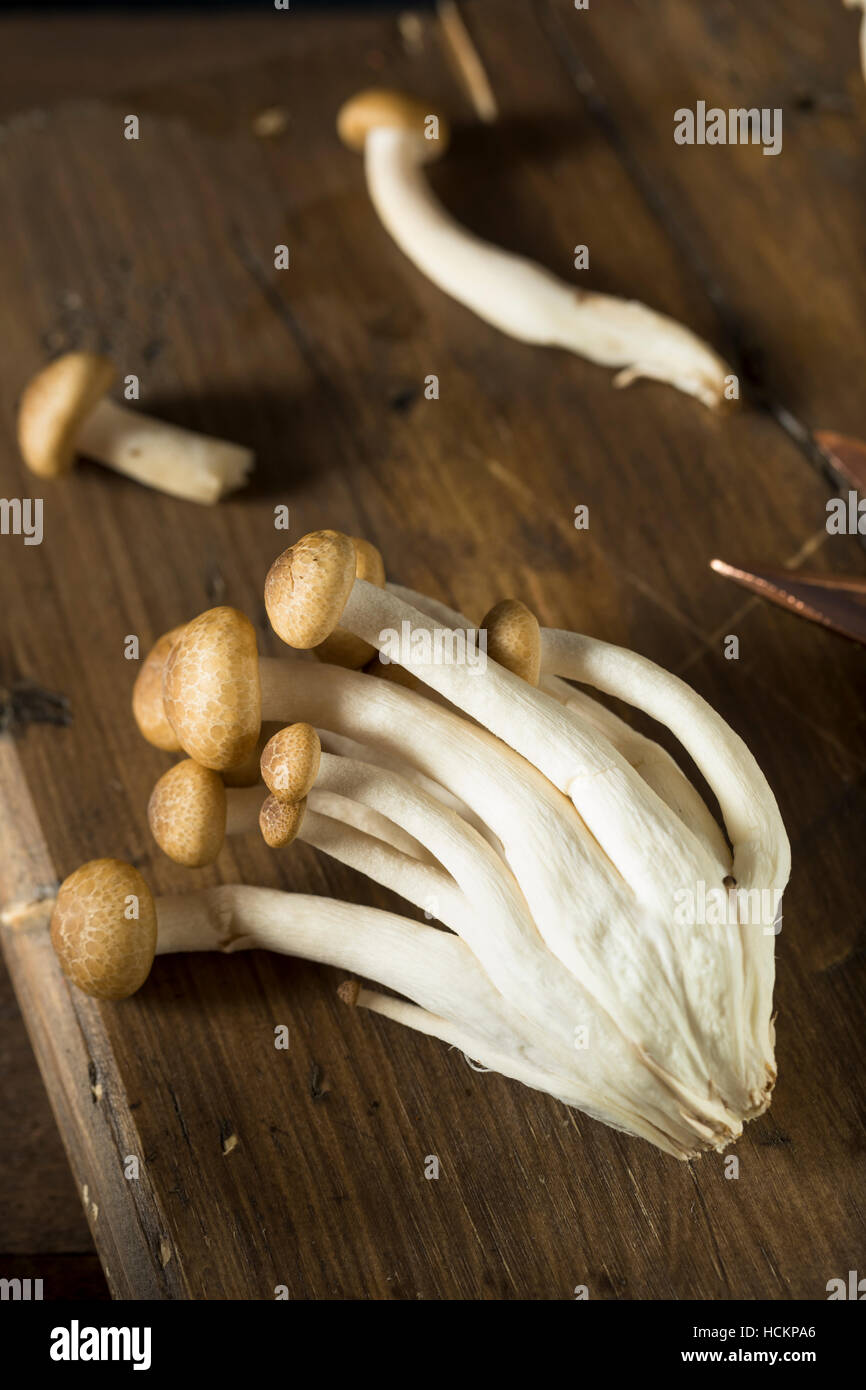 Raw Organic Brown Beech Mushrooms in a Bunch Stock Photo - Alamy