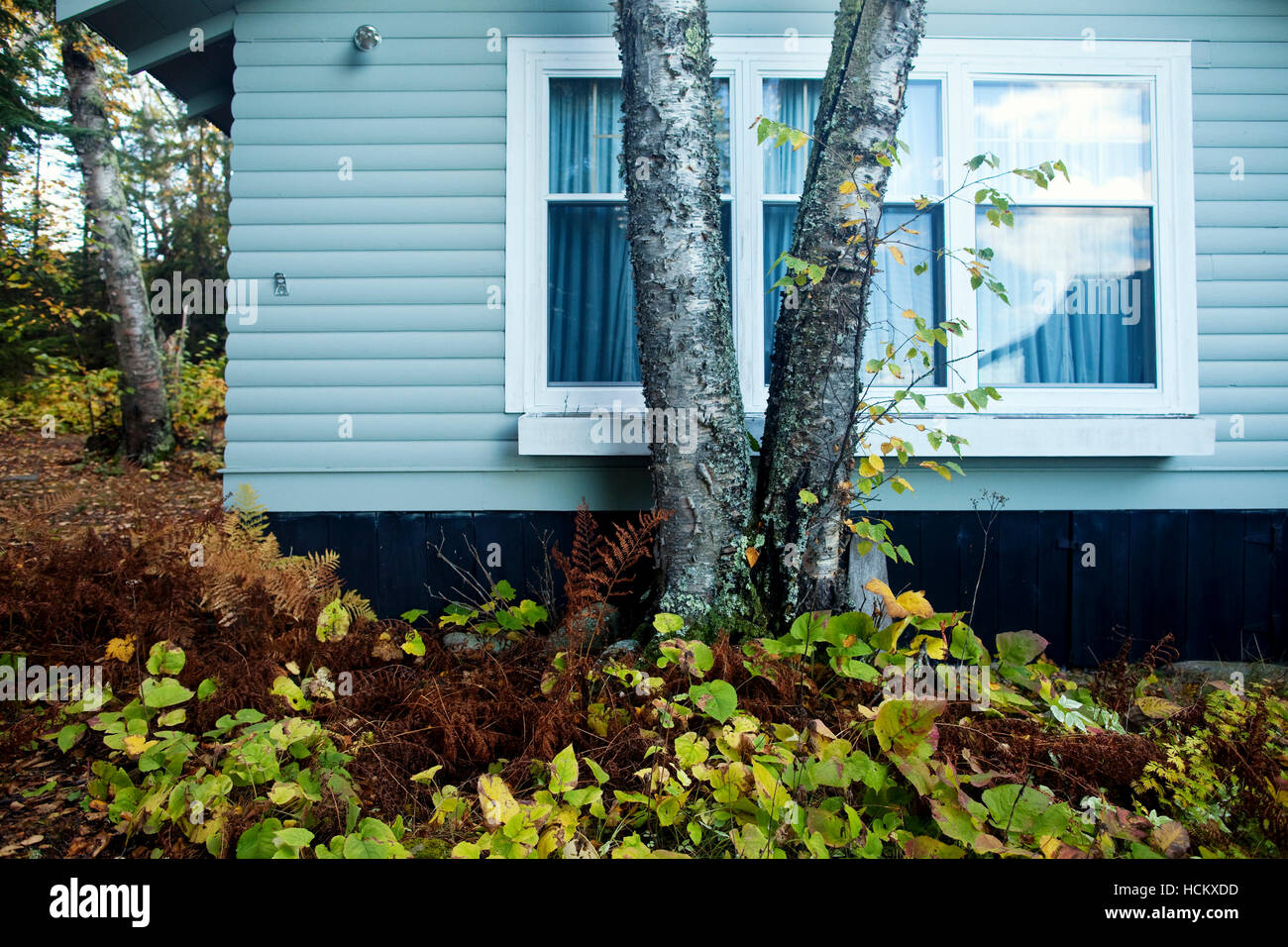 Autumn Colors At A Cabin On The North Shore Of Lake Superior Stock